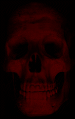 skull.gif (9050 Byte)